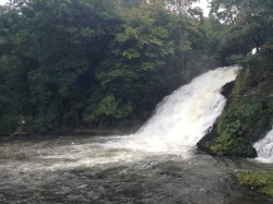 coldsenpai:  oculoss:  waterfalls are relaxing  pale/green here