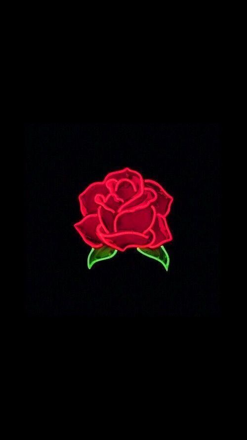 Featured image of post Rose Hintergrundbilder Tumblr