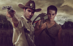 eponineofsterek:  sterek  tyler hoechlin  bwhahaha