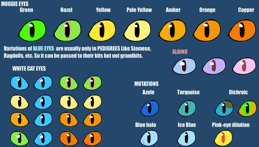 Lesser Loved Warriors. Stories and more! — A cat eye chart, because I'm  getting a lil' sick...