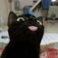 aaaahmrrrrr