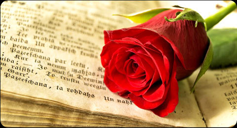 Feliç Sant Jordi!Feliz Sant JordiHappy Sant Jordi, books and roses day