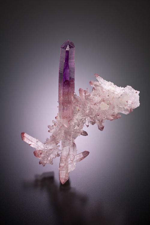 Phantom Amethyst - Brandberg, Erongo, Namibia