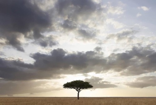 Africa skyscape #4 . . . #africa #kenya #sunset #sky #clouds #world #worldtravel #travel #travelbug 