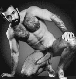 Gymbear:  Bruno 