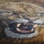 biglion6969