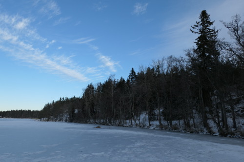 January lake