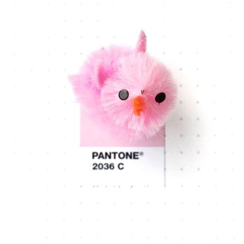 Pantone 2036 color match. A Chick Magnet…. It really is a magnet . The fuzzy chick is glued onto a m