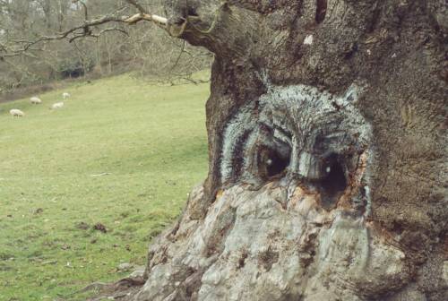 stourhead