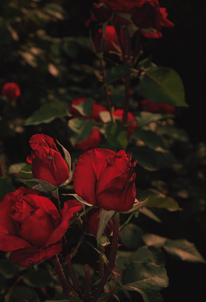 elusive