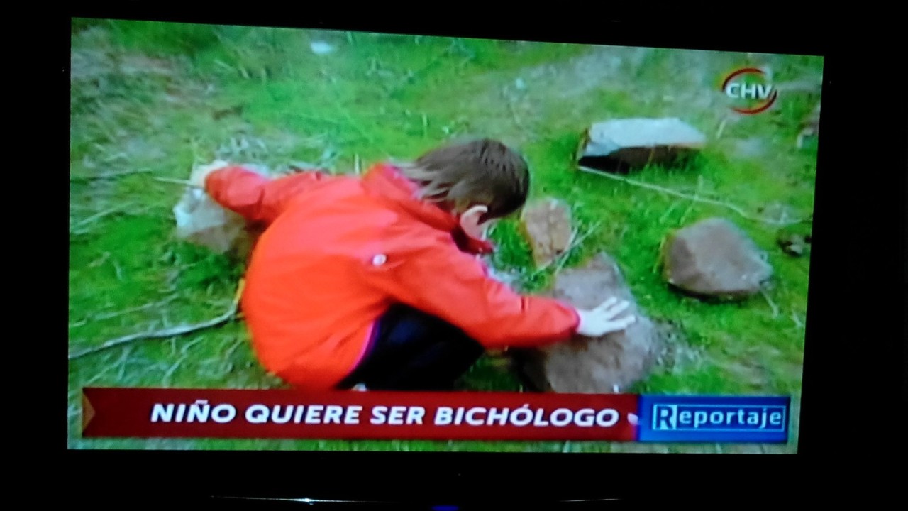 futubandera:  Este gran reportaje nos muestra nueva ciencia de la naturaleza aunque preferiría Entomologo que