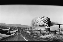 20th-century-man:  Photo by Elliott Erwitt,