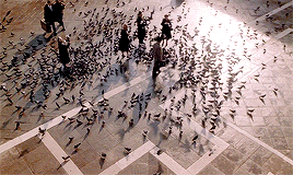 tumblr_pagzcjAz9M1w1gv1yo6_r2_400.gif