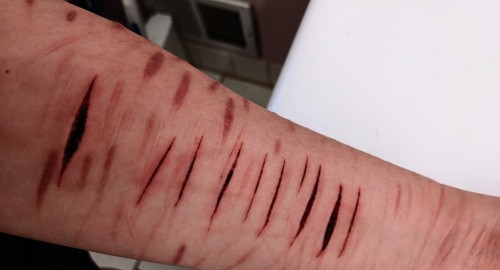 TW: Sh