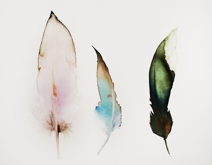 Wonderland. ~