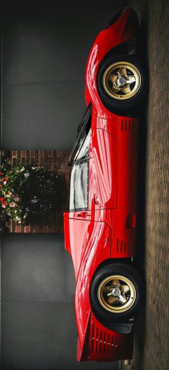 doyoulikevintage: Ferrari 330/P3