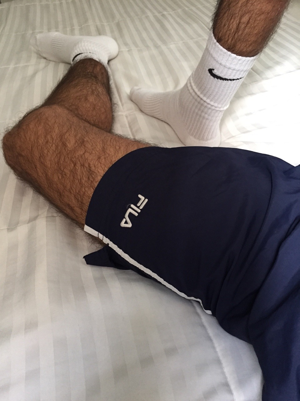 Dom Socks Fan In Mass