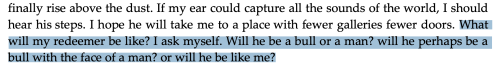 RONAN LYNCH — The Bull-headed Boy, The Two-headed Calf