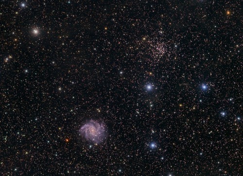 thenewenlightenmentage: Spiral NGC 6946 and open cluster NGC 6939 Credit: Alistair Symon