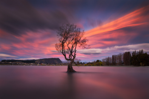 euph0r14:  landscape | The Light Catcher | by everlookphotography | http://ift.tt/1LNB6OI 