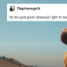 sonseulsoleil:nick &lsquo;bi disaster&rsquo; nelson + text posts
