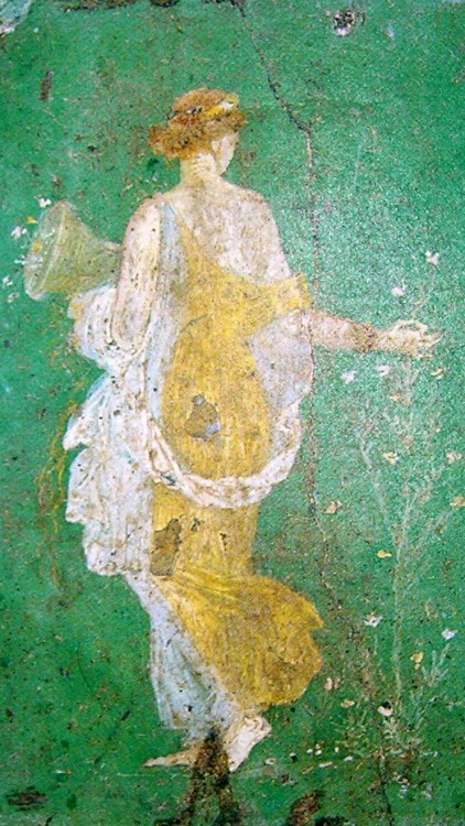 nitensalis: Paintings from the Villa Arianna, Stabiae