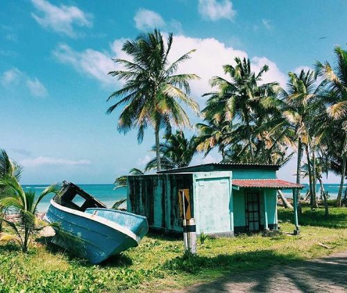 surfnicawaves: North end of Corn Island Nicaragua #Repost @alexmotta “Abandoned boats and small h