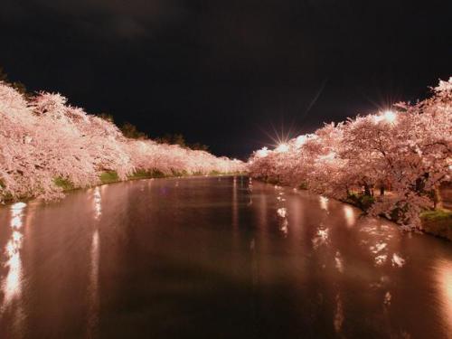 Axis KaZ‏@axiskkkこれが青森県弘前市の誇る日本１の桜です皆様是非GW中でも桜祭りに足を運んでみてくださいな(∩❛ڡ❛∩)