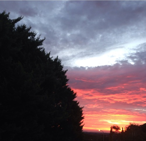 derelictcity:  There was a great sunset today