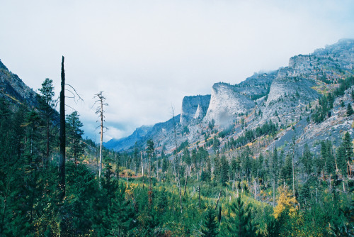 Blodgett Canyon, MontanaCanon EOS Rebel Ti : Sigma 24-60mm  //  Ektar 100@paraxellum​ &nbs