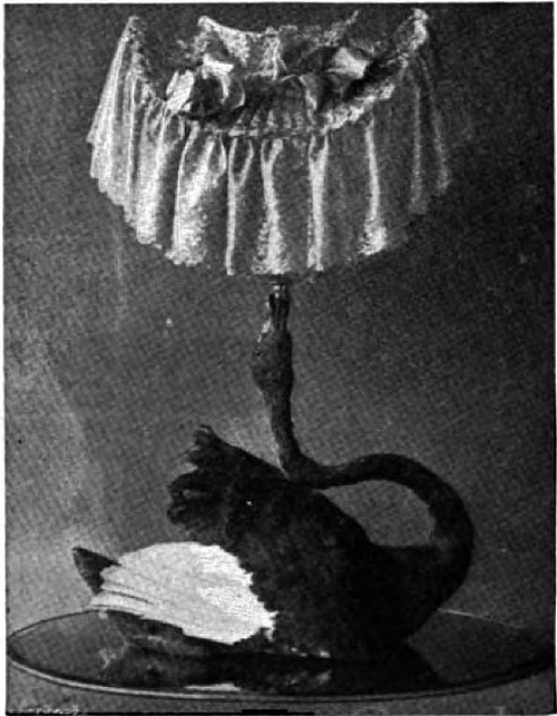 focsle:  Here have some more victorian taxidermy.Via the 1896 issue of The Strand Magazine 