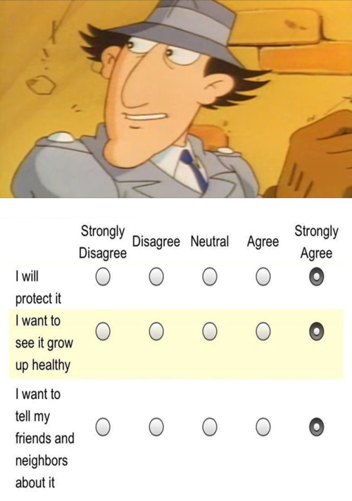 You Can Use It As Appreciation Post