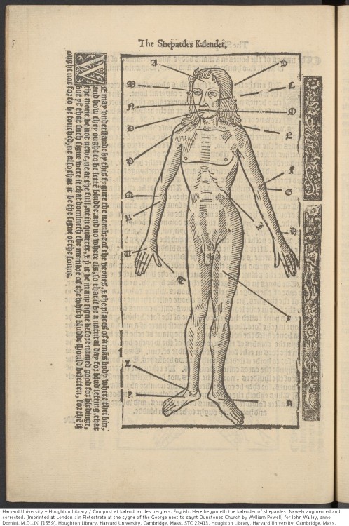 Here begynneth the kalender of shepardes. Newely augmented and corrected, 1559.STC 22413Houghton Lib