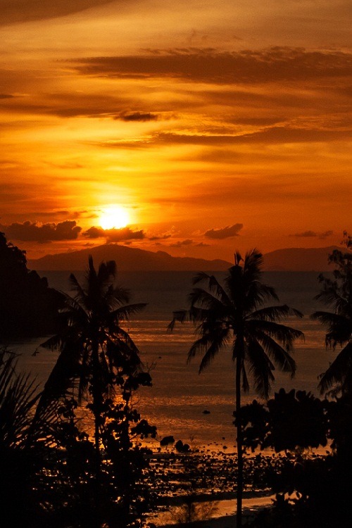 ponderation:  The Island by Russ Francis 