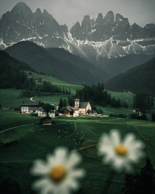 everything-thing - Italy / South Tyrol | giuliogroebert