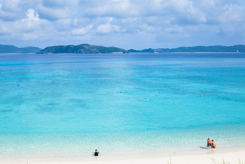 People swimming with sea turtles, Tokashiki Island, Okinawa