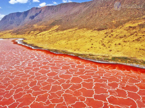 blazepress:  The 23 Most Surreal Landscapes on Earth 
