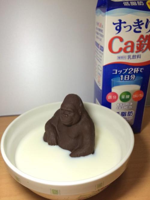 khoide:shuarchy:とりあえず牛乳に入れてみたよこいつはw有名なチョコww adult photos