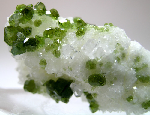 fuckyeahmineralogy:  Uvite on magnesite; Brumado Mine, Brazil. Uvite is a type of tourmaline.