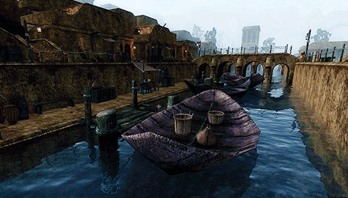blighted-elf:The Elder Scrolls III: Morrowind scenery - Balmora