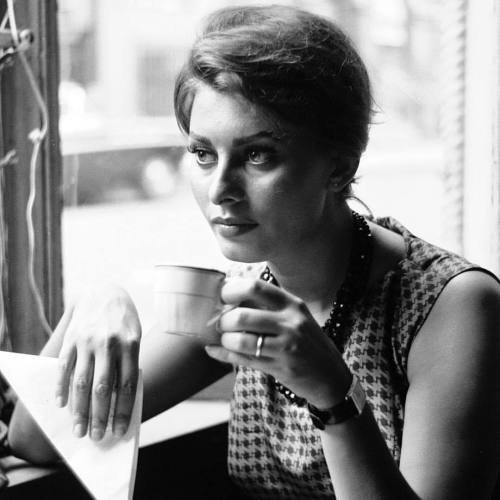 Sophia Loren at a cafe in New York City, June 1958. (Peter Stackpole—The LIFE Picture Collection/Get