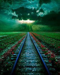 coiour-my-world:Rail Sunset, Romania