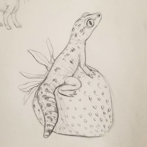 Happy Friday! Here’s a gecko lizard on a strawberry. #draw #drawing #sketchbook #lizard #gecko