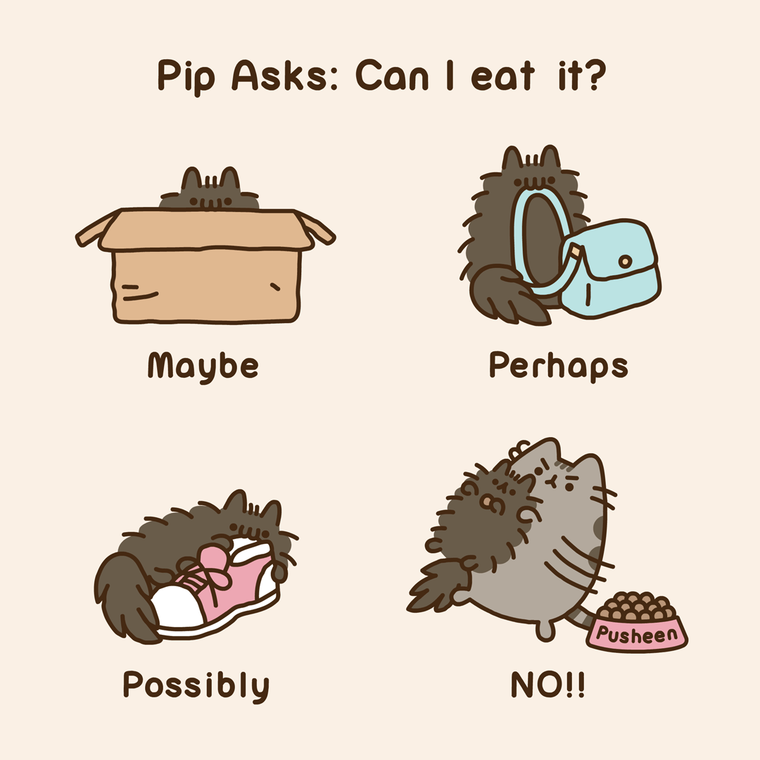Pusheen the cat