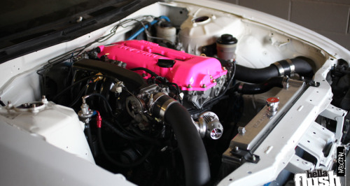 carbonking:  (via TumbleOn)