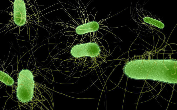 Bacterias que producen un combustible fósil alternativo
Investigadores del Imperial College en Londres han logrado modificar genéticamente a una bacteria para que produzca propano, un combustible fósil. “Los combustibles fósiles son un recurso finito...