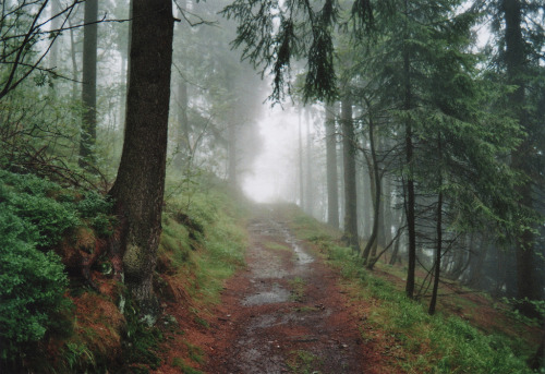 englishsnow:   Michael Päßler      