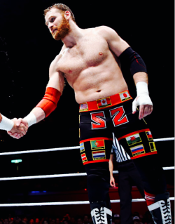 Happy 30Th Birthday Sami Zayn