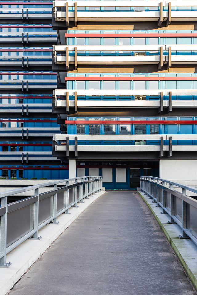 Genau in den Busch eingelocht Genau in den Busch eingelocht