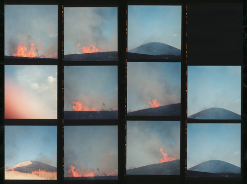 hanselfrombasel: sheets attempts to retrace rinko kawauchi’s steps in this world through a reassembly and re-editing of her filmstrips as a reinvented whole. 
